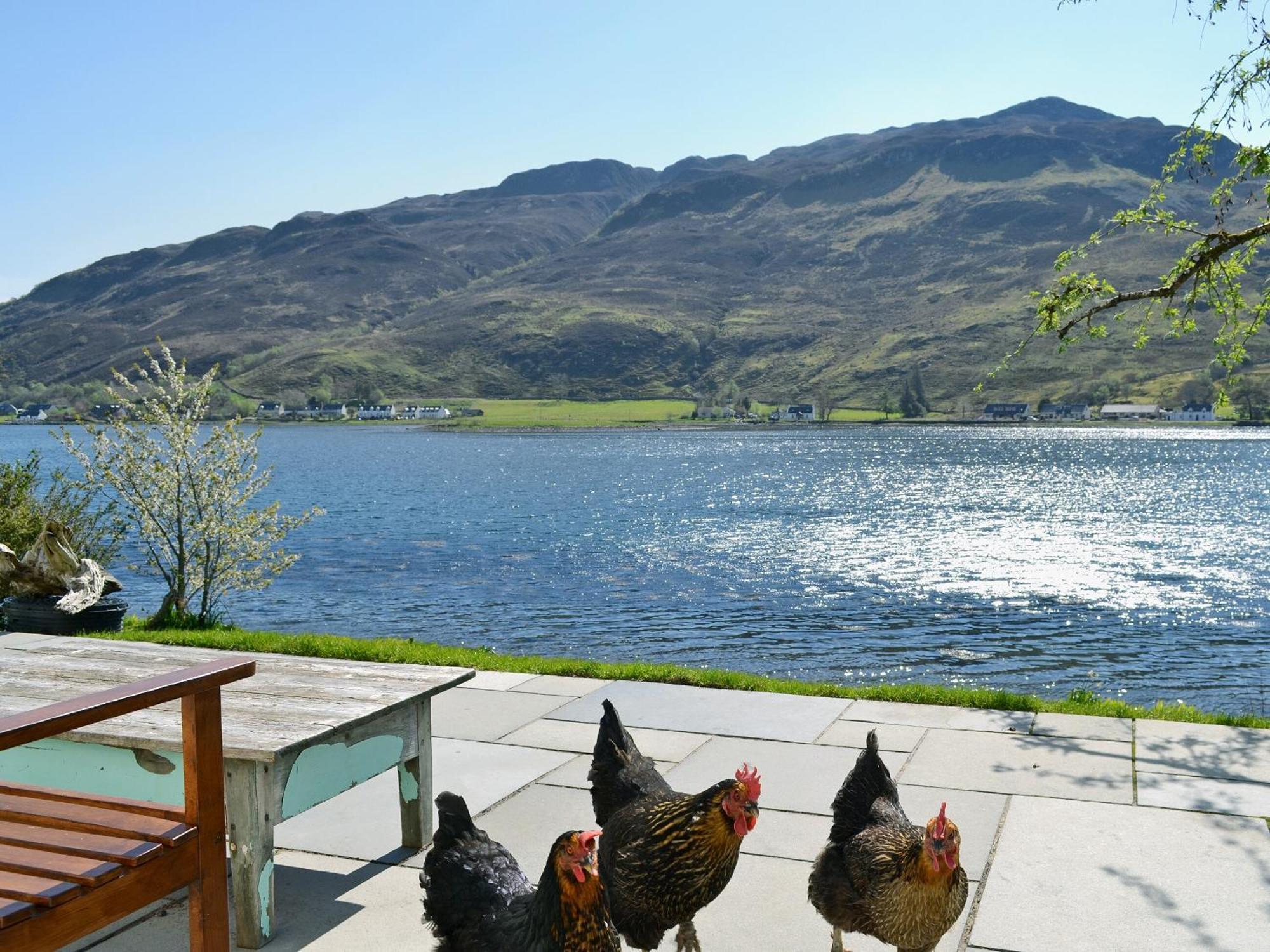 Loch Shore Cottage Dornie Εξωτερικό φωτογραφία